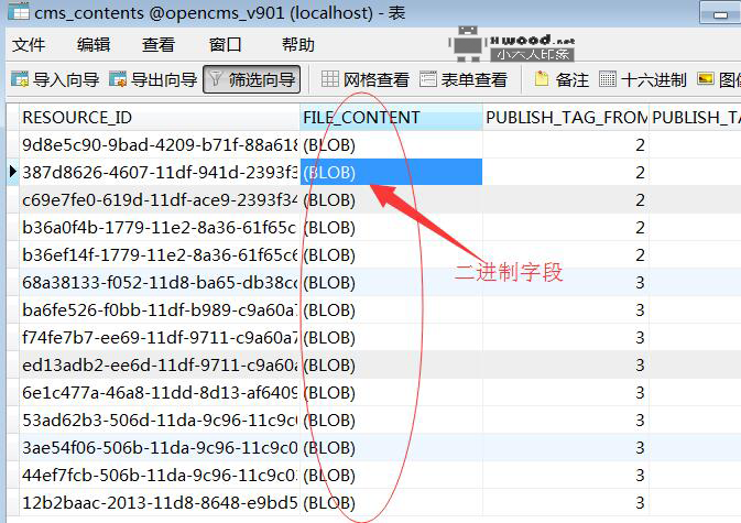 通过Navicat显示mysql数据库二进制大字段(BLOB)文本内容