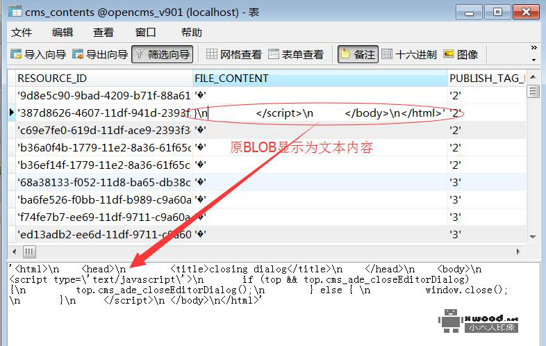 通过Navicat显示mysql数据库二进制大字段(BLOB)文本内容