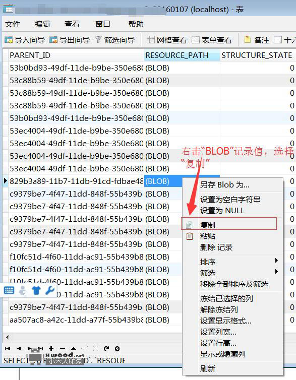 通过Navicat显示mysql数据库二进制大字段(BLOB)文本内容