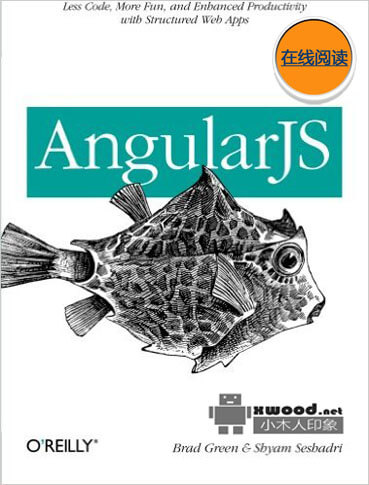 用AngularJS开发下一代Web应用（英文）PDF版本下载