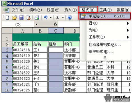 在Office Excel中如何设置快速录入性别单元格