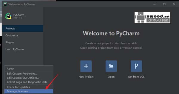 pycharm-professional-2021.1.1可激活版本下载