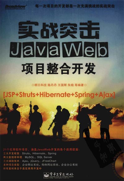 实战突击：Java Web项目整合开发.jpg